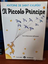 Il Piccolo Principe 