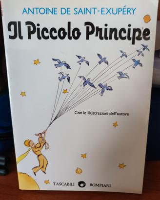 Il Piccolo Principe 