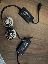 lampade LED 5000 lumem  auto 