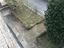 Immagine 14