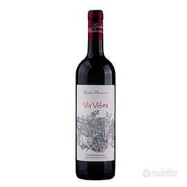 VIS VITAE 2019 – GIARDINI RIPADIVERSILIA