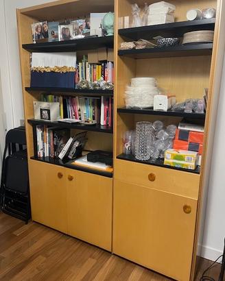 libreria betulla