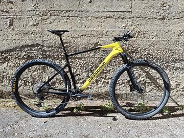 Scalpel HT Carbon 3 2024
