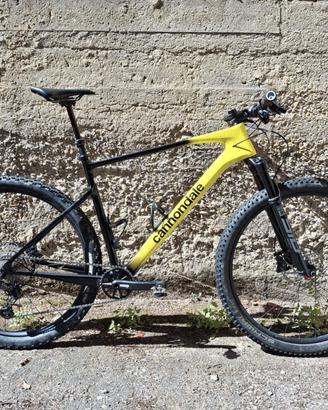Scalpel HT Carbon 3 2024