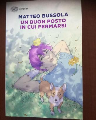 MATTEO BUSSOLA-UN BUON POSTO IN CUI FERMARSI