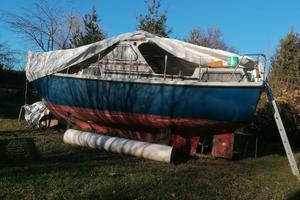 Tortuga 27