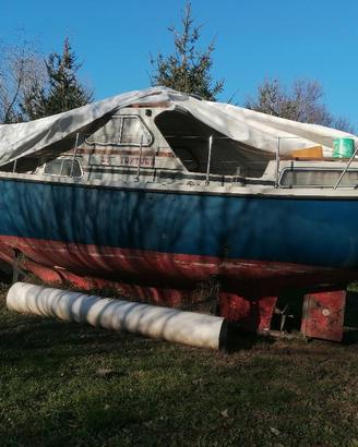 Tortuga 27
