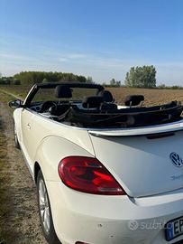 Volkswagen Maggiolino Cabrio 1.2 TSI 105 CV - 2013