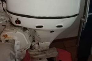Suzuki evinrude 30cv 4t