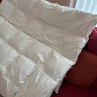 interno piumino 100% 250x220