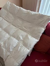 interno piumino 100% 250x220