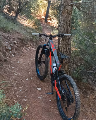Ebike - Emtb THOK TK-01.  taglia L