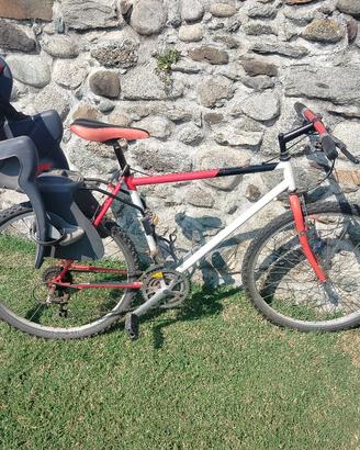 bicicletta con seggiolino bambino