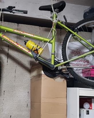Mountain bike