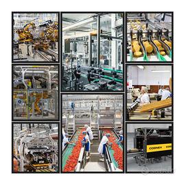 Capo Cantiere Supervisore Meccanico Trasfertista