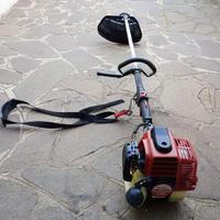 decespugliatore Robin 