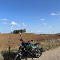 Benelli leoncino 125