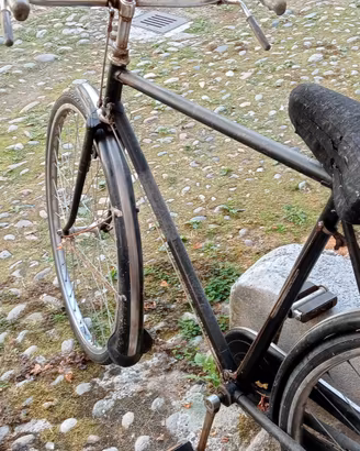 Bicicletta freni a bachetta