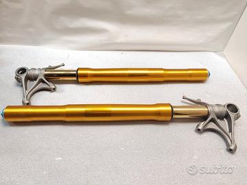 COPPIA FORCELLE DUCATI PANIGALE V2 V4 V4S V4R 1199