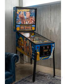 FLIPPER BAYWATCH SEGA