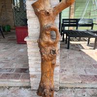Tronco di ulivo 