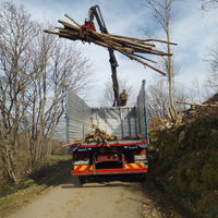 Camion 190.42