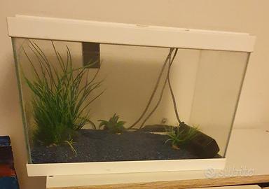 Acquario Ciano Aqua 60 LED bianco