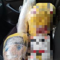 Peluche NARUTO/GATTO
