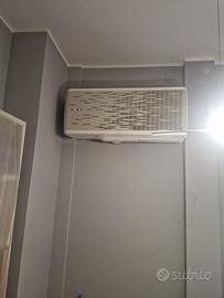 Condizionatore olimpia splendid unico sky 14