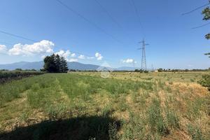 TER. AGRICOLO A ANAGNI