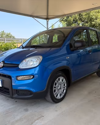 FIAT Pandina 1.0 FireFly 70 CV Hybrid Icon COME