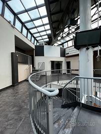 Negozio Bologna [MASTERBEERACG]