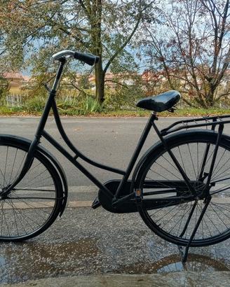 biciclette olandesi