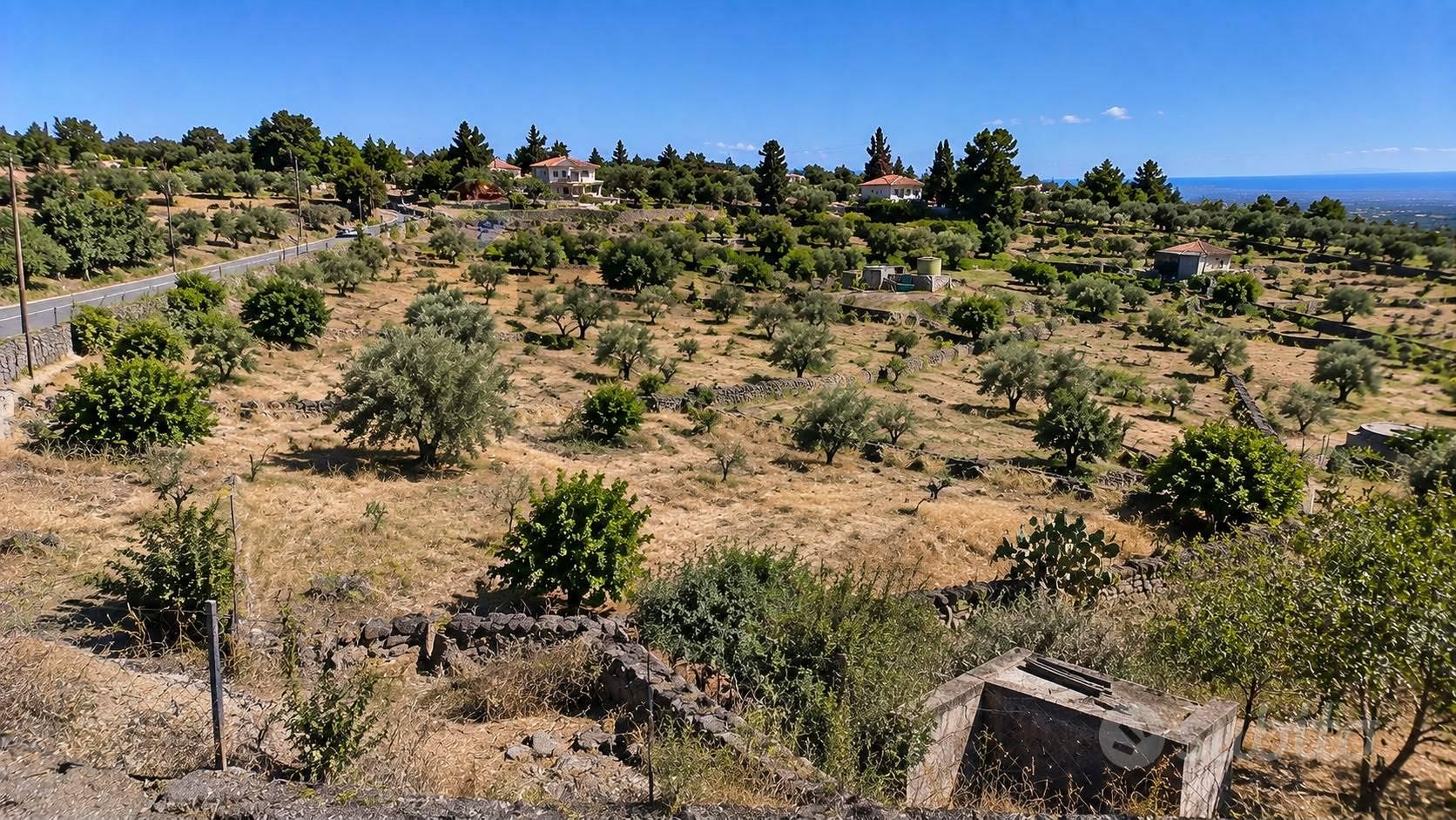Terreno Edificabile - Santa Maria di Licodia - Vista 4