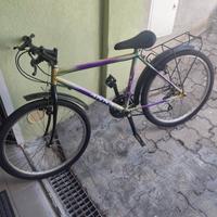 Bicicletta bambina da revisionare. 