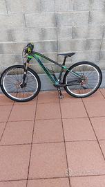 Mtb in carbonio 