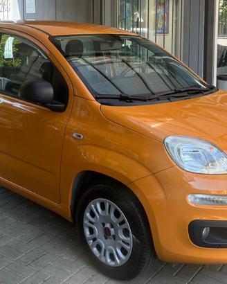 FIAT PANDA 1.2 BENZINA - ANCHE PER NEOPATENTATI - 