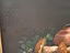 Immagine 6