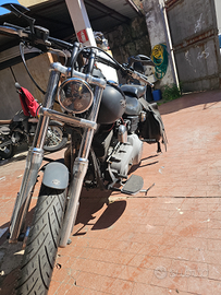 Harley Davidson Street Bob