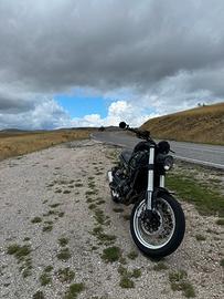 Benelli leoncino 500 trail