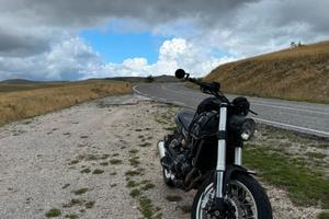 Benelli leoncino 500 trail