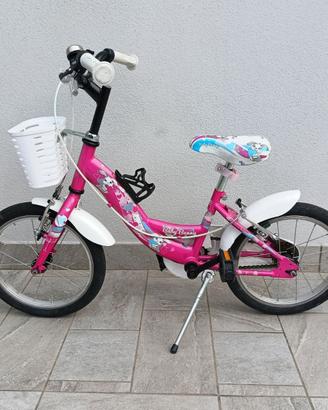 Bicicletta