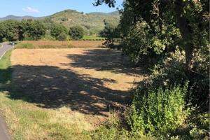 Terreno agricolo con pozzo