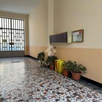 BOX A TORINO
