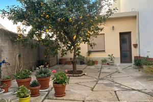 Ampia proprietà dotata di giardino e dependance