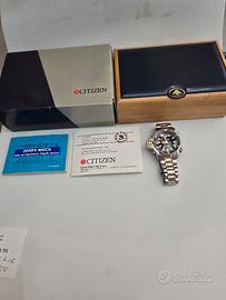 orologio Citizen Aqualand Co 22 Dual Tone