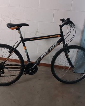 Mountain bike Frejus 26 pollici