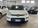 fiat-panda-1-0-firefly-s-s-hybrid-city-life-2021