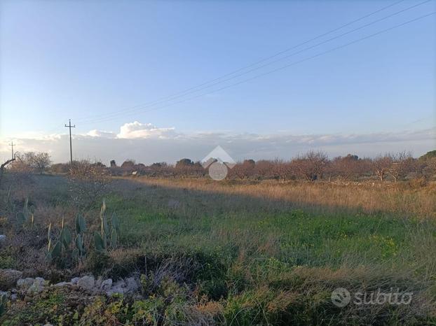 TER. AGRICOLO A MOLA DI BARI