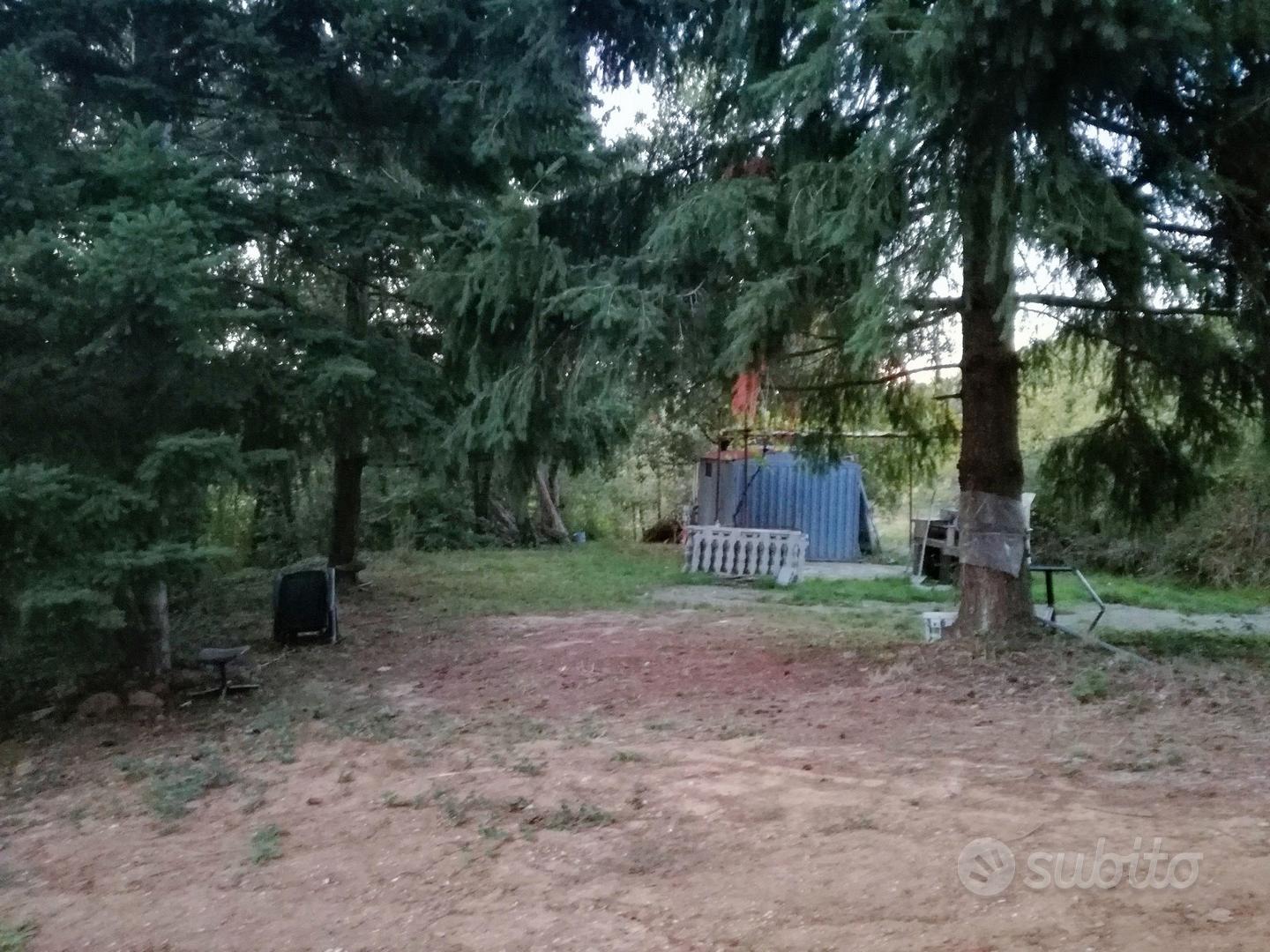 Vendita terreno rogliano (cs) - Vista 5